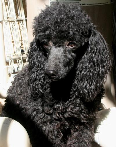 Jones senior Jones senior