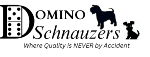 New Schnauzer Logo