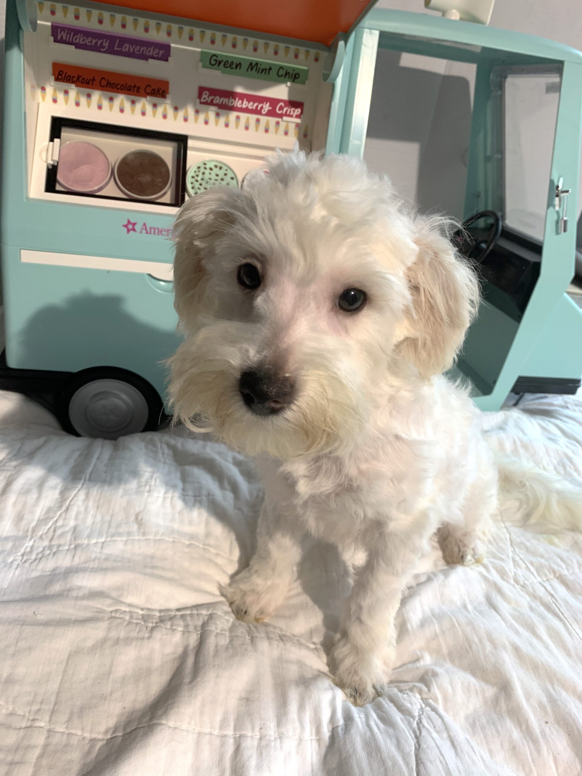 MATRIX – Chonzer $600